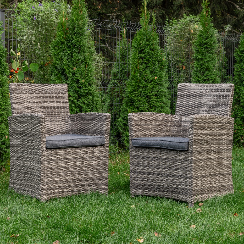 Комплект кресел Royal Family FIONA (2шт) в сером цвете 1